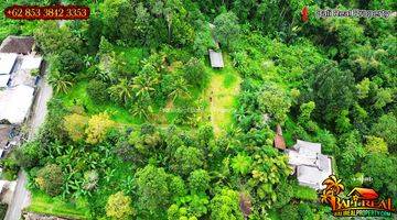 Gambar 2 Strategis 73 Are Bentuk L View Hutan Dan Gunung Batukaru