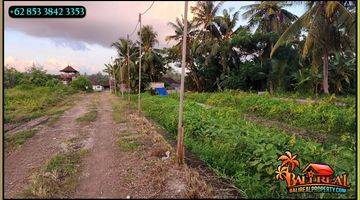 Gambar 2 Langka, Murah 16.0 Are Semi L View Sawah Dan Hutan 