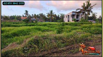 Gambar 3 Langka, Murah 16.0 Are Semi L View Sawah Dan Hutan 