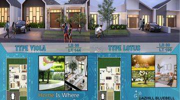 Gambar 1 Dazhil Bluebell Type 80 Lotus Yunaidi Quantum Property 085347176707