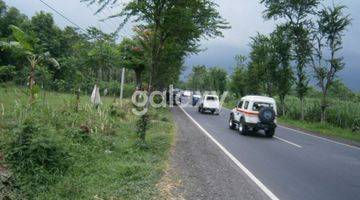 Gambar 4 Tanah Daerah Jalan Raya Probolinggo Lumajang