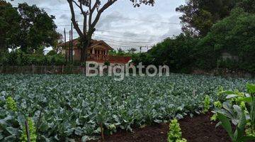 Gambar 2 Di  Tanah Kosong Di Kolonel Masturi Bandung Cocok Untuk Kebun / Tempat Istirahat