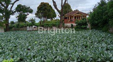 Gambar 3 Di  Tanah Kosong Di Kolonel Masturi Bandung Cocok Untuk Kebun / Tempat Istirahat