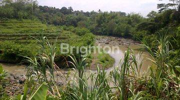 Gambar 5 Tanah Kosong Di Dekat Ring Road Magelang Cocok Untuk Rumah Makan / Kebun