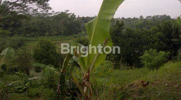 Gambar 1 Tanah Kosong Di Dekat Ring Road Magelang Cocok Untuk Rumah Makan / Kebun / Villa (view Gunung Merapi Dan Sungai Elo)