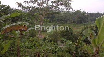 Gambar 2 Tanah Kosong Di Dekat Ring Road Magelang Cocok Untuk Rumah Makan / Kebun / Villa (view Gunung Merapi Dan Sungai Elo)