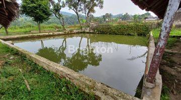 Gambar 4 Tanah dan Kolam Ikan Tenjolaya