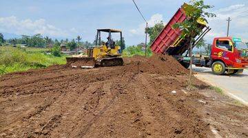 Gambar 1 Tanah Dijual di Timur Candi Prambanan 1 Jtan