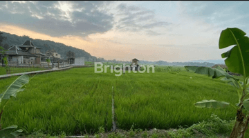 Gambar 1 TANAH SAWAH LUAS DI DEKAT TOL CIMALAKA SUMEDANG