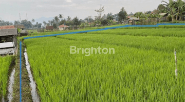 Gambar 4 TANAH SAWAH LUAS DI DEKAT TOL CIMALAKA SUMEDANG