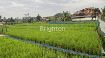 Gambar 5 TANAH SAWAH LUAS DI DEKAT TOL CIMALAKA SUMEDANG