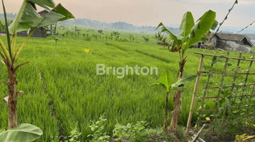 Gambar 2 TANAH SAWAH LUAS DI DEKAT TOL CIMALAKA SUMEDANG