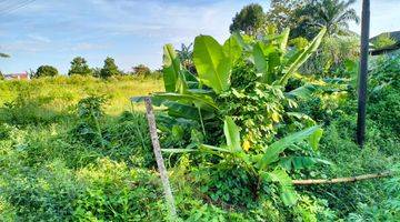 Gambar 1 Tanah Sawah Pinggil Jalan Aspal Besar (Langsung Balik Nama) Tanah SHM 1848 m²