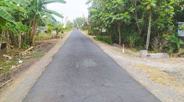 Gambar 1 Tanah Sawah Pinggil Jalan Aspal Besar (Langsung Balik Nama) Tanah SHM 1848 m²