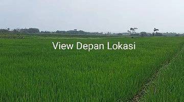 Gambar 4 Jual Tanah Kelanting, Kerambitan Tabanan, Bali