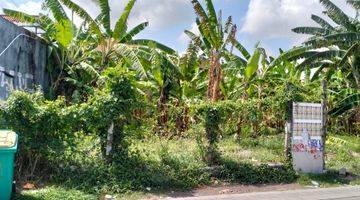 Gambar 1 Langka, Tanah Dijual Lokasi Premium Canggu Berawa