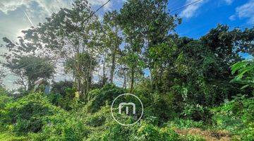 Gambar 4 Land Located In Residential And Quiet Area Of Jimbaran, Bali