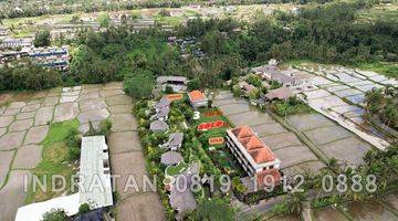 Gambar 2 Tanah Kavling Kawasan Villa Dengan View Persawahan di Ubud, Bali