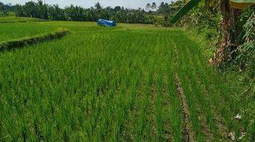 Gambar 1 PASTI CLOSING DI JUAL TANAH LOKASI NYAMBU KABA KABA KEDIRI TABANAN