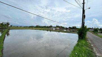 Gambar 4 Pasti Closing Di Jual Tanah View Sawah Lokasi Kedungu Belalang Tabanan