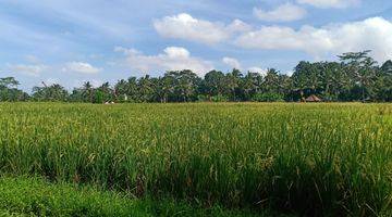 Gambar 4 Pasti Closing Di Sewakan Tanah View Sawah Lokasi Pejeng Sanding Ubud Gianyar