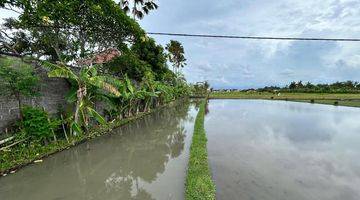 Gambar 2 Pasti Closing Di Jual Tanah View Sawah Lokasi Kedungu Belalang Tabanan