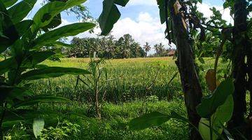 Gambar 2 Pasti Closing Di Sewakan Tanah View Sawah Lokasi Pejeng Sanding Ubud Gianyar