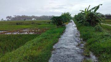 Gambar 2 Pasti Closing Di Jual Tanah Loss Pantai View Laut Lokasi Pasut Tibu Biu Kerambitan Tabanan