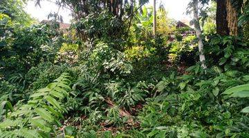 Gambar 1 Pasti Closing Di Sewakan Tanah View Sawah Lokasi Pejeng Sanding Ubud Gianyar