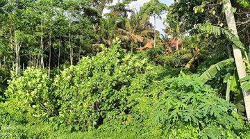 Gambar 4 Tanah view sawah di Ubud, akses jalan 4 meter cocok untuk pribadi atau komersil