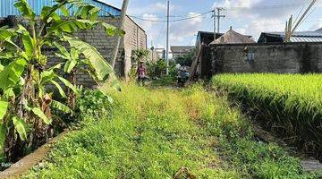 Gambar 5 Tanah view sawah di Ubud, akses jalan 4 meter cocok untuk pribadi atau komersil