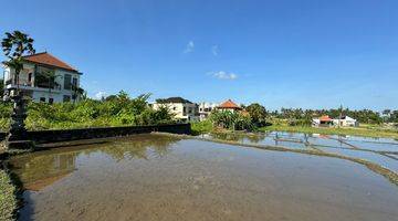 Gambar 5 Tanah view sawah di Gianyar, Akses jalan 3 meter