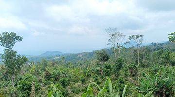 Gambar 1 Tanah full view laut di jalan danau buyan Bedugul, Akses jalan 5 meter