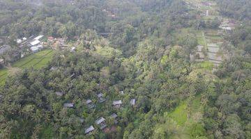 Gambar 4 Tanah los tebing sungai view jungle di Ubud, akses jalan 7 meter