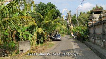 Gambar 3 Tanah kontur datar full view hamparan sawah di Kelating, Tabanan