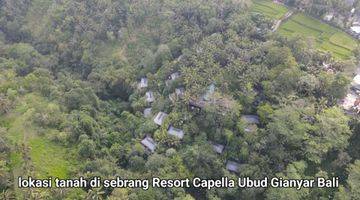 Gambar 5 Tanah los tebing sungai view jungle di Ubud, akses jalan 7 meter