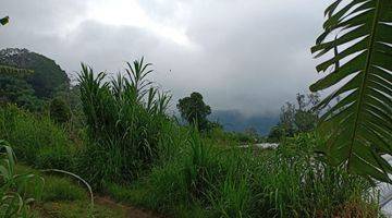 Gambar 4 Tanah kawasan sejuk dan alami view danau Buyan Bedugul