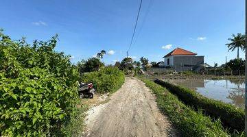 Gambar 3 Tanah view sawah di Gianyar, Akses jalan 3 meter