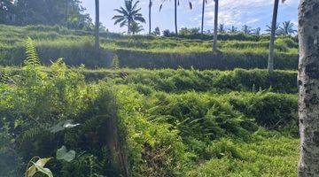 Gambar 1 Tanah los tebing sungai view jungle di Ubud, akses jalan 7 meter