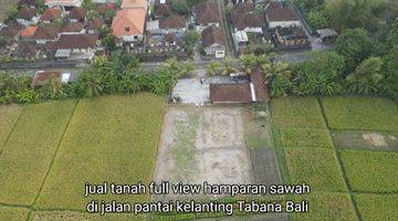 Gambar 2 Tanah kontur datar full view hamparan sawah di Kelating, Tabanan