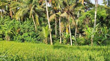 Gambar 1 Tanah view sawah di Ubud, akses jalan 4 meter cocok untuk pribadi atau komersil