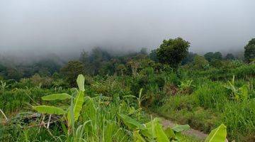 Gambar 2 Tanah kawasan sejuk dan alami view danau Buyan Bedugul