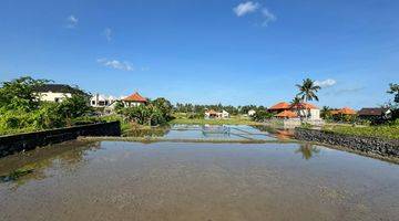 Gambar 4 Tanah view sawah di Gianyar, Akses jalan 3 meter