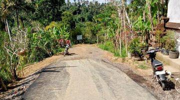 Gambar 5 Nego, Tanah los tebing sungai di Ubud, kontur tanah terasering