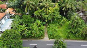 Gambar 3 Tanah kontur datar di Ubud, Akses jalan 8 meter