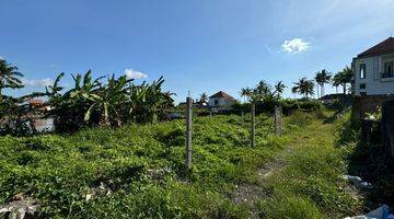 Gambar 1 Tanah view sawah di Gianyar, Akses jalan 3 meter