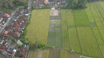 Gambar 4 Tanah kontur datar full view hamparan sawah di Kelating, Tabanan