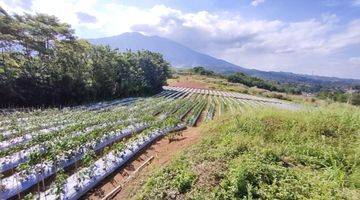 Gambar 4 Tanah Dengan View Pegunungan Di Cicurug Sukabumi Jawa Barat