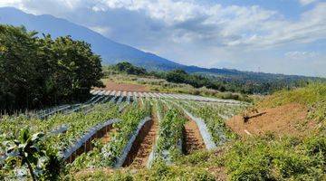 Gambar 5 Tanah Dengan View Pegunungan Di Cicurug Sukabumi Jawa Barat