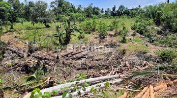 Gambar 3 Tanah Besar Murah Hanya 5 menit dari Boulevard 2 Manado